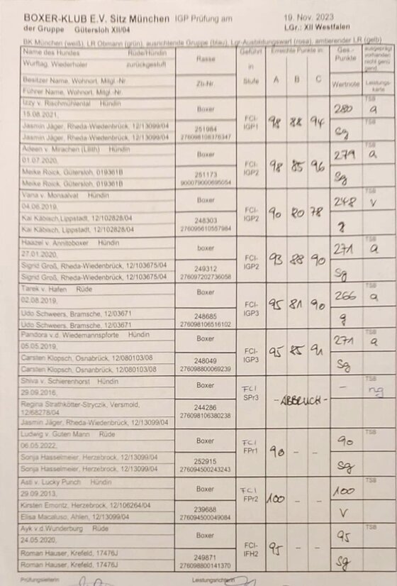 Meldebogen 19.