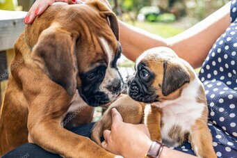 Hier klicken: Unser aktiven Mitglieder stellen sich vor - wer von unseren Mitgliedern neue Bilder platzieren möchte schickt diese bitte mit den notwendigen Informationen an Bernhard Hier kliclen: Unser aktiven Mitglieder stellen sich vor - wer von unseren Mitgliedern neue Bilder platzieren möchte schickt diese bitte mit den notwendigen Informationen an Bernhard