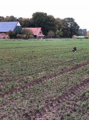 114-Mieke.JPG