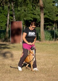 Izzy v. Ritschmühlental WT: 15. August 2021 - Prüfungen: ZTP / AD / FCI - IGP 2 Besitzerin: Jasmin Jäger Izzy v. Ritschmühlental WT: 15. August 2021 - Prüfungen: ZTP / AD / FCI - IGP 2 Besitzerin: Jasmin Jäger