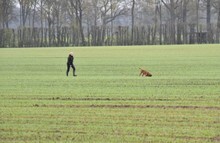 02-Mareike-A.JPG