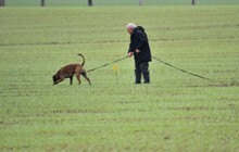 03-Udo-in A.JPG