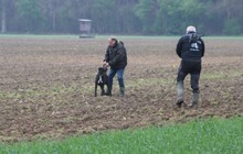 05-HF-Hans-Aramis-01.JPG