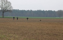 05-HF-Hans-Aramis-02.JPG