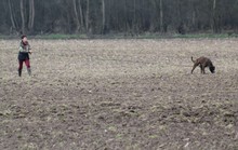 10-HF-Mieke-Csibor-01.JPG