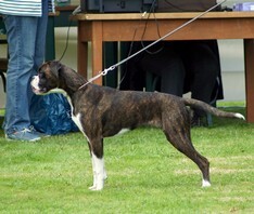 Asti-001.jpg